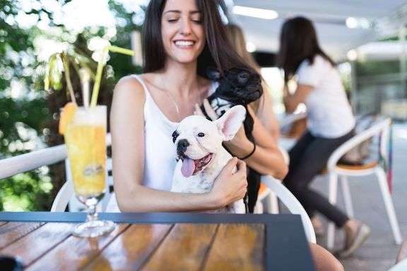 Pet Policy